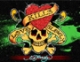 ED HARDY