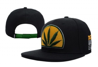 DGK Snapback-21