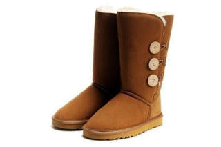 Boots 1873 chestnut AAA