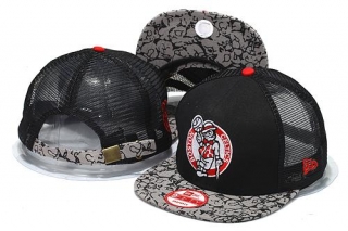 NBA Boston Celtics snapback-31
