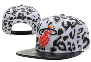 NBA Miami heats-43