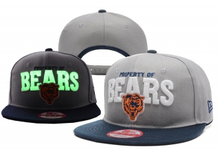NFL Chicago Bears Snapback-25