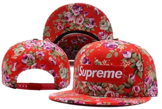 Supreme snapback-14