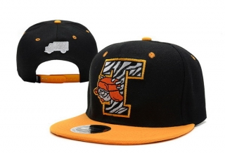 Trukfit snapback-10