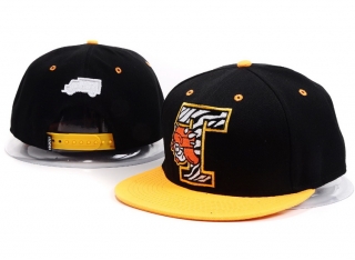 Trukfit snapback-22