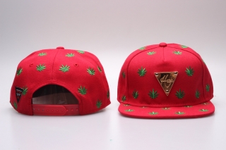 Hater Snapback-46