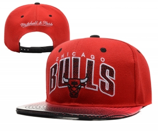NBA BULL snapback-308