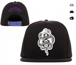 Rebel8 snapback-20