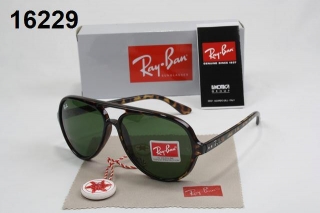 Rayban sunglass AAA-1023