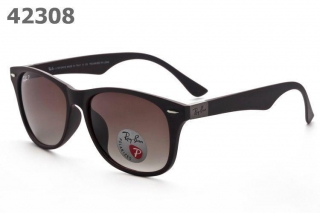 RayBan Polariscope AAA-1079