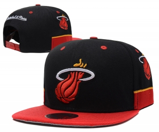 NBA Miami heats-223