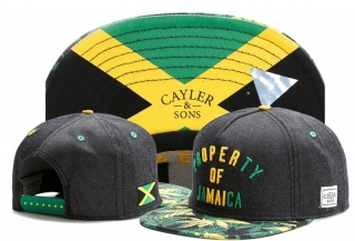 Cayler&Sons snapback-294