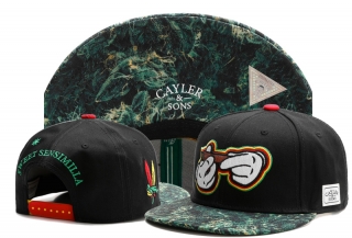 Cayler&Sons snapback-310