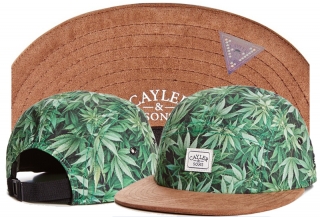 Cayler&Sons snapback-323