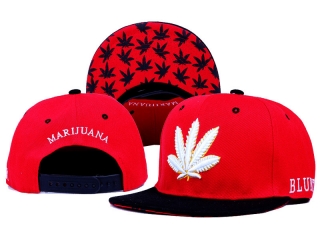 DGK Snapback-53