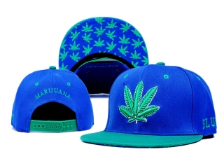 DGK Snapback-55