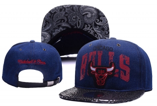 NBA Chicago Bulls Snapback-889