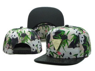 Hater Snapback-173