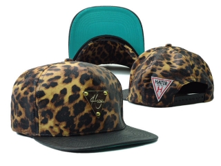 Hater Snapback-206