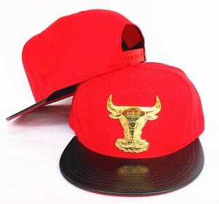 NBA Chicago Bulls Snapback-919