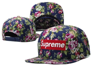 Supreme snapback-125