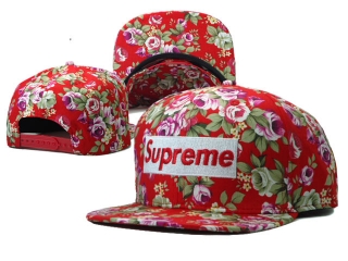 Supreme snapback-126