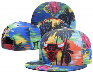 NBA Chicago Bulls Snapback-934