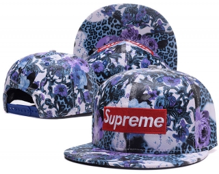 Supreme snapback-749