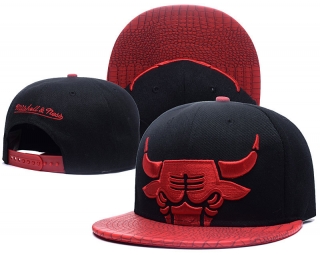 NBA Bulls snapback-8009