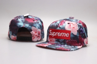 Supreme snapback-752