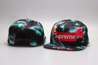 Supreme snapback-762