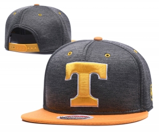 NFL Tennessee Titans snapback-743