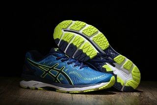 Asics GEL-KAYANO 23 T648N-4907