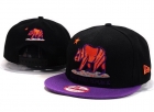 California republic snapback-27