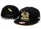 California republic snapback-28