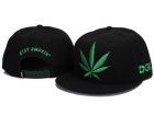 DGK Snapback-10