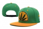 DGK Snapback-12