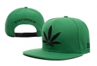 DGK Snapback-14