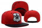 DGK Snapback-18