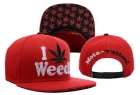 DGK Snapback-20