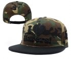 DGK Snapback-36