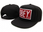 OBEY snapback hats-06