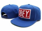 OBEY snapback hats-08