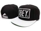 OBEY snapback hats-09