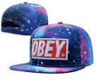 OBEY snapback hats-77