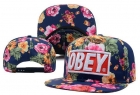 OBEY snapback hats-78