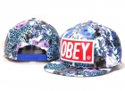 OBEY snapback hats-97