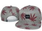 HUF Snapback-12