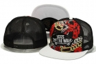 VANS snapback-54