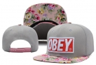 OBEY snapback hats-99